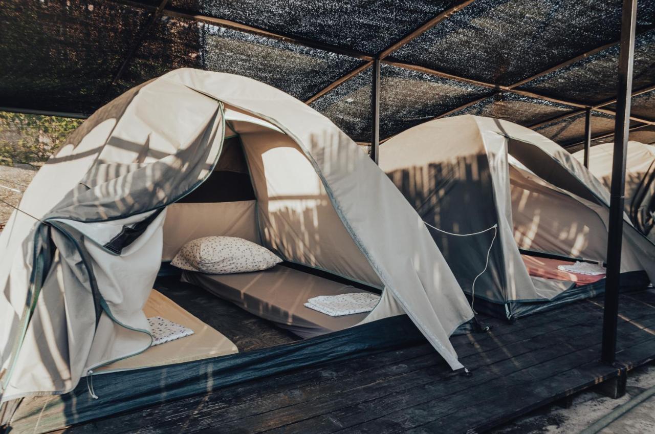 Hostel Albania
